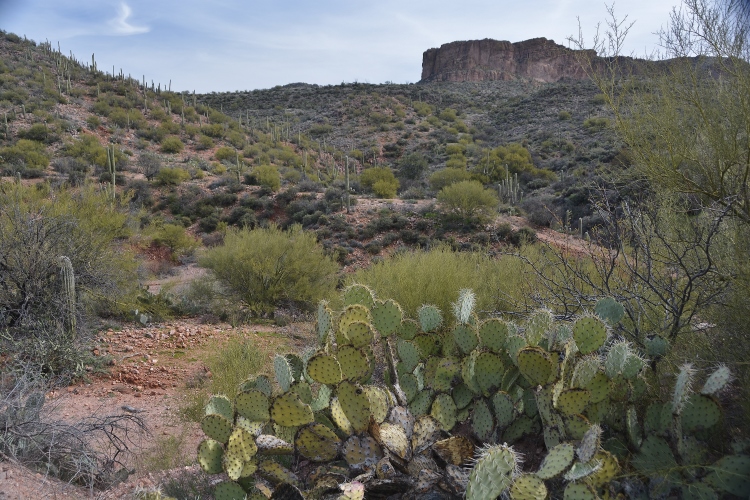 mountain terrain